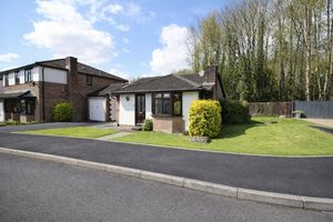 Photo 16- click for photo gallery